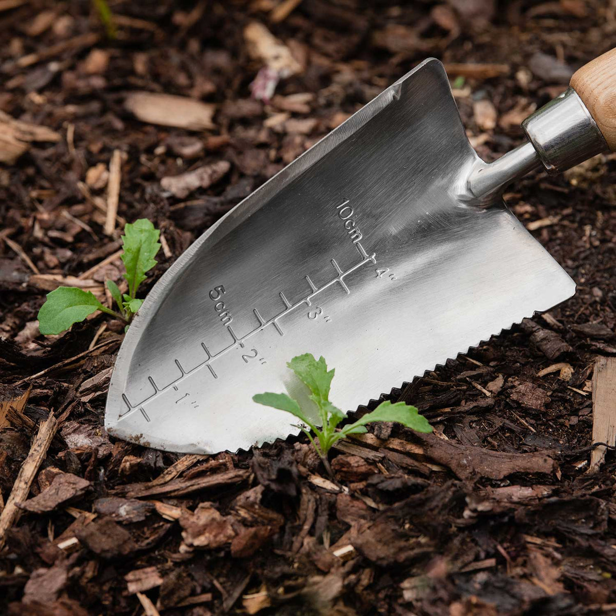 Cazzuola da giardinaggio in acciaio inossidabile con bordo seghettato e scala di profondità