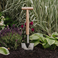 Vanga da perenni in acciaio inox con impugnatura a T, marrone classico, per giardinaggio