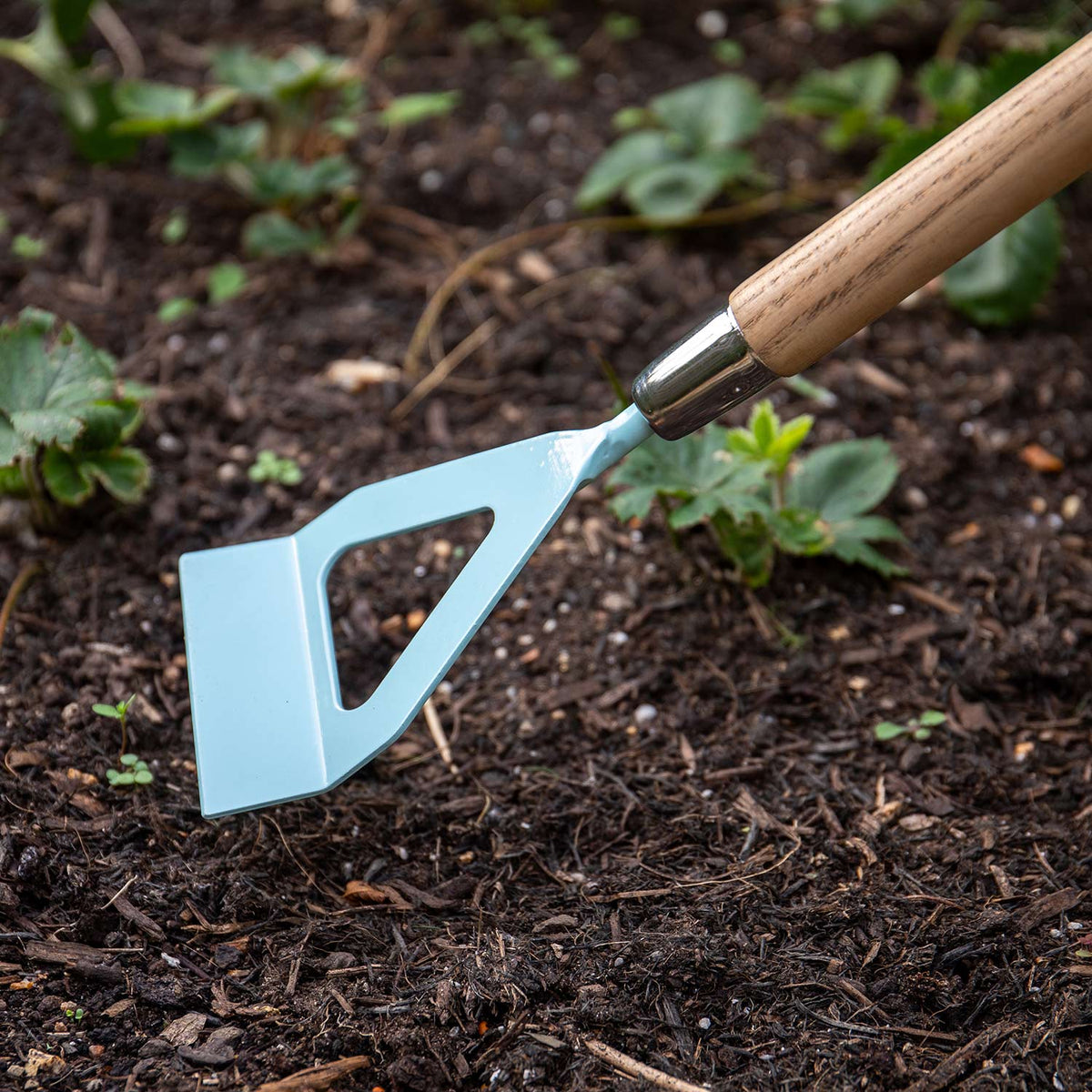 Zappa Olandese per Bambini Utensile da Giardino in Acciaio al Carbonio con Manico in Frassino FSC