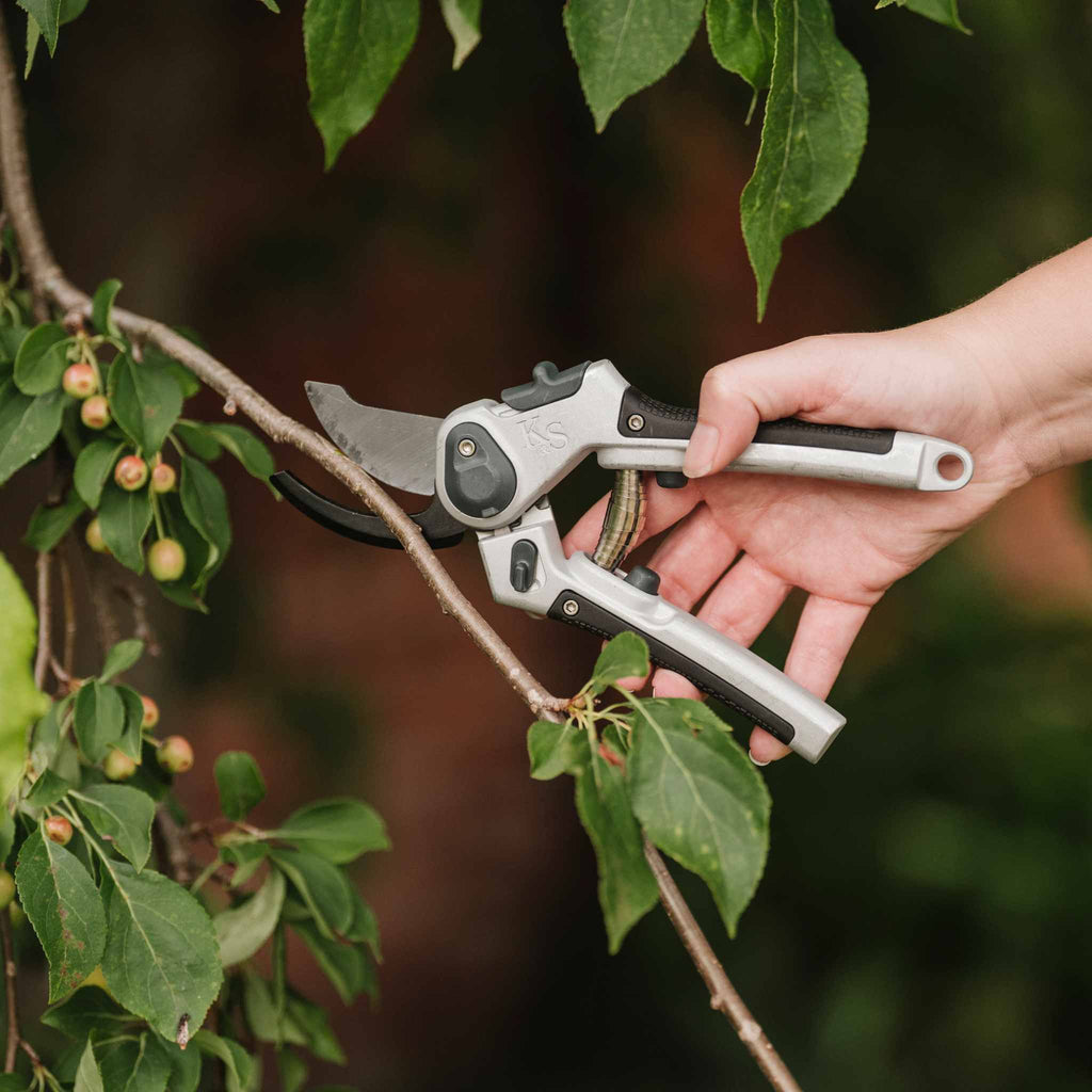 Forbici da potatura bypass Lite multiuso Strumento compatto per il giardinaggio