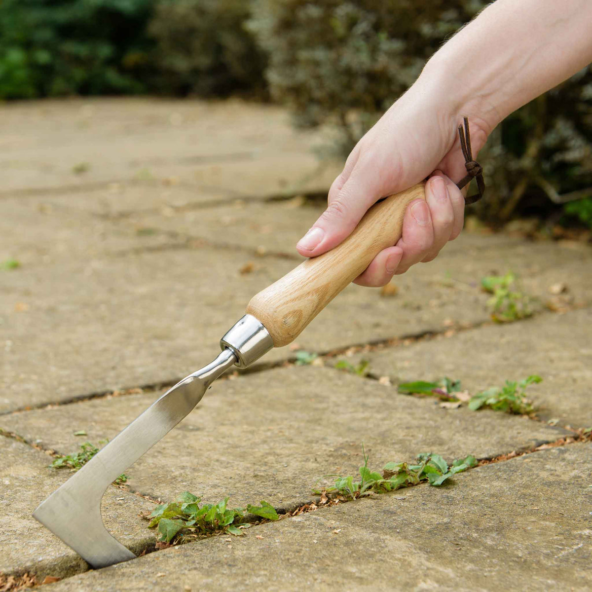 Coltello da diserbo in acciaio inossidabile con manico in legno di frassino