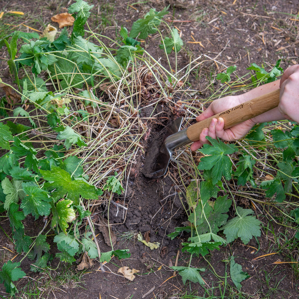Vanga da perenni in acciaio inox con impugnatura a T, marrone classico, per giardinaggio